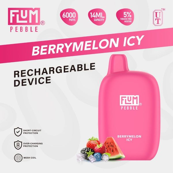 FLUM PEBBLE  DISPOSABLE - 6000 PUFFS