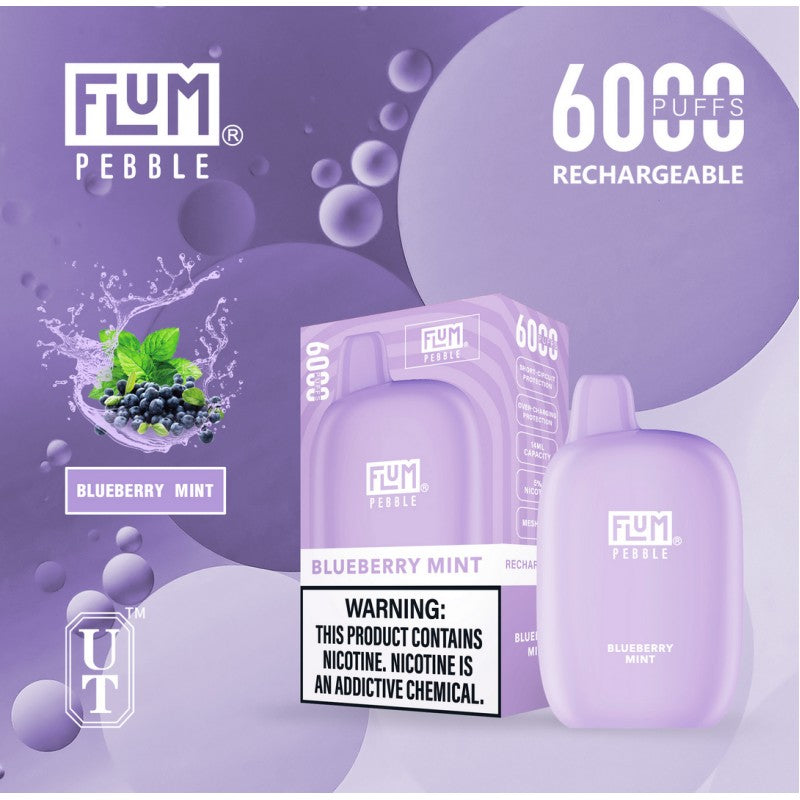 FLUM PEBBLE  DISPOSABLE - 6000 PUFFS