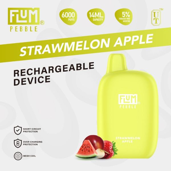 FLUM PEBBLE  DISPOSABLE - 6000 PUFFS